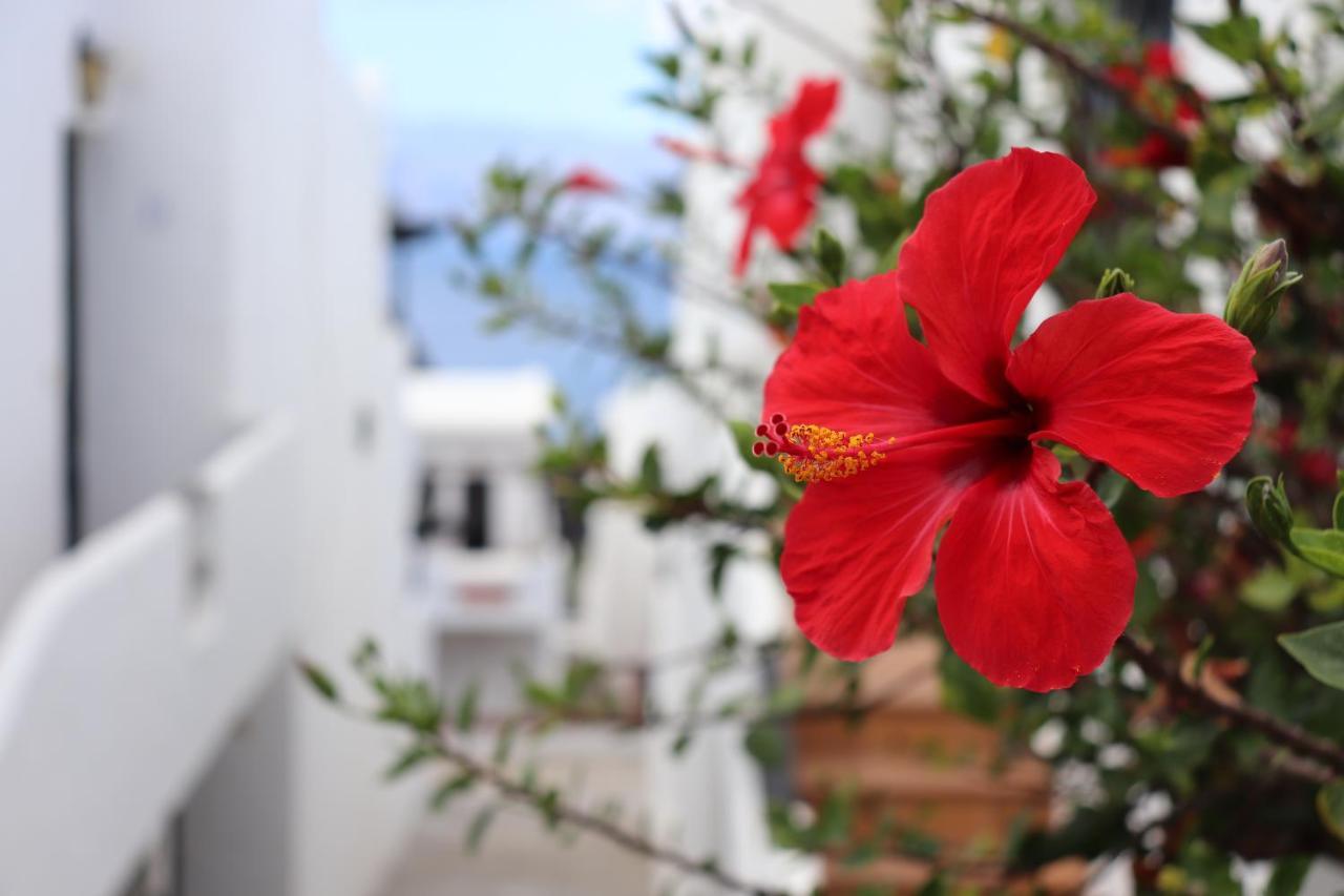 Casa Lina Sardina Apartment Gáldar Екстериор снимка